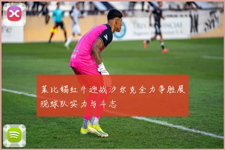 莱比锡红牛迎战沙尔克全力争胜展现球队实力与斗志