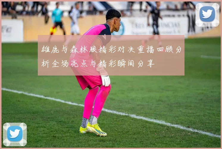 雄鹿与森林狼精彩对决重播回顾分析全场亮点与精彩瞬间分享