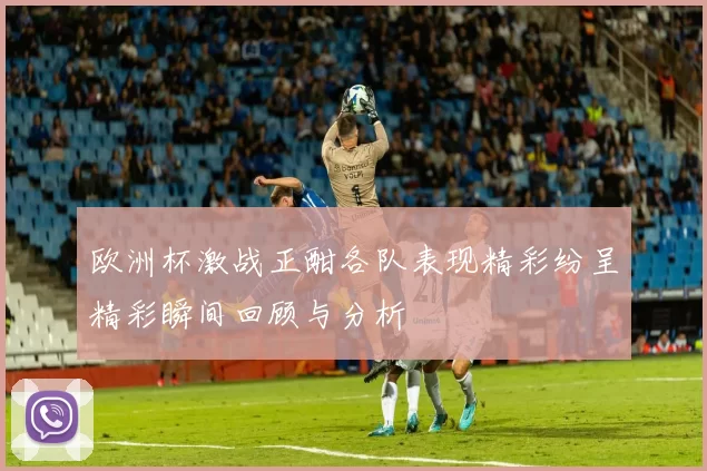 欧洲杯激战正酣各队表现精彩纷呈精彩瞬间回顾与分析